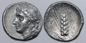 Lucania, Metapontion AR Stater. Circa 290-280 BC. Head of Demeter to left, wearing triple pendant earring / Ear of barley with leaf to left; [ME]TA up...