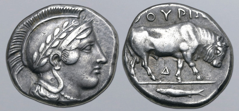Lucania, Thourioi AR Stater. Circa 443-400 BC. Head of Athena to right, wearing ...