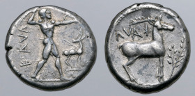 Bruttium, Kaulonia AR Stater. Circa 475-425 BC. Nude Apollo walking to right, holding laurel branch, small daimon running to right on extended arm; to...