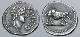 Kingdom of Mauretania, Juba II AR Denarius. Caesarea, circa 25 BC - AD 24. Diademed head to right; REX IVBA before / Elephant walking to right on grou...