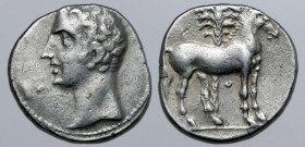 North Africa, Carthage AR Shekel. Time of Hannibal. Carthago Nova, circa 218-206 BC. Bare male head (Hannibal?) to left / Horse to right, palm tree be...