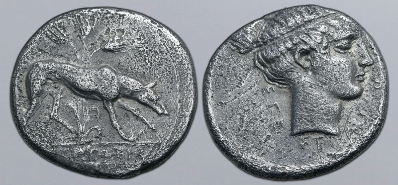 Sicily, Segesta AR Didrachm. Circa 412-400 BC. Hound to right, three stalks of b...