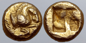 Ionia, uncertain mint EL Hekte. Circa 600-550 BC. Forepart of horse to right; palm branch behind / Quadripartite incuse square. Rosen Sale 32 = Pozzi ...