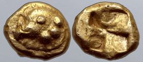Ionia, Phokaia EL 1/24 Stater. Circa 625/0-522 BC. Head of seal(?) to left, pellets at neck truncation / Quadripartite incuse square. Bodenstedt Em. 2...
