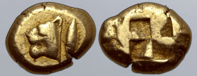 Mysia, Kyzikos EL Stater. Circa 550-500 BC. Head of roaring lioness to left; tunny fish upward behind / Quadripartite incuse square. Von Fritze I 39; ...