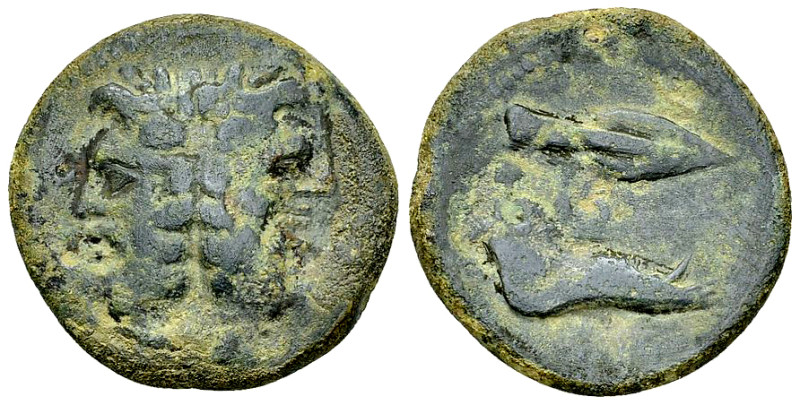 Panormos AE 22, after 241 BC 

Sicily, Panormos. AE 22 (6.93 g), after 241 BC....