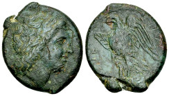 Syracuse AE 24, Zeus Hellanios/Eagle