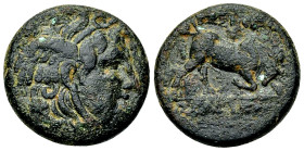 Seleukos I Nikator AE 19