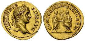 Caracalla Aureus, Caracalla and Geta reverse