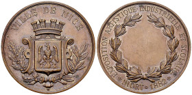 Nice/Niort, MÃ©daille en bronze 1882