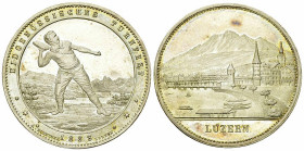 Luzern AR Medaille 1888, Eidg. Turnfest
