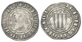 SICILIA
Giacomo II (I) d’Aragona, 1285-1296. 
Pierreale, zecca di Messina.
Ag gr. 3,30
Dr. IA DEI GRA ARAGON SICL REX. Aquila coronata ad ali spie...