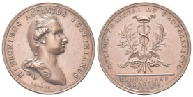 BERGAMO
Girolamo Ascanio Giustinian (potestà e vicecapitano), 1753-1787.
Medaglia 1782 opus J. Ulrich Samson.
Æ gr. 36,32 mm 44,8
Dr. HIERONIMUS A...