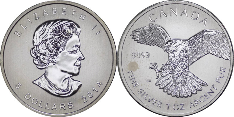 Canada - Elisabetta II (dal 1952) - 5 Dollari (1 Oncia) 2014 "Uccelli rapaci - F...