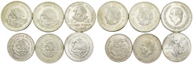 Messico - lotto di 5 monete da 5 Pesos e 1 Onza - anni vari - Ag. 

qFDC

SPEDIZIONE IN TUTTO IL MONDO - WORLDWIDE SHIPPING