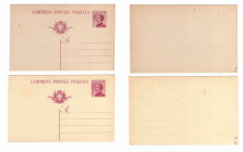Lotto di 2 cartoline postali 1925 (prezzo di catalogo €50)

SPEDIZIONE IN TUTTO IL MONDO - WORLDWIDE SHIPPING