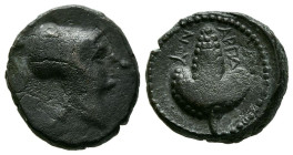 APULIA, Arpi. Ae15. (Ae. 3,06g/15mm). 215-212 a.C. (SNG ANS 646; HN Italy 650). Anv: Cabeza de Atenas a derecha. Rev: Racimo de uvas, alrededor leyend...