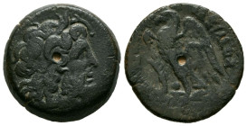 REINO PTOLEMAICO, Ptolomeo II Philadelphos. Ae19. (Ae. 5,85g/19mm). 285-246 a.C. Alejandría. (SNG Copenhagen 163). Anv: Cabeza laureada de Zeus a dere...