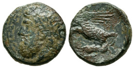 SICILIA, Akragas. Ae16. (Ae. 4,48g/16mm). 338-317 a.C. (SNG ANS 1113; HGC 2, 164). Anv: Cabeza laureada de Zeus a izquierda. Rev: Aguila volando a izq...