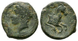 SICILIA, Panormus. Ae15. (Ae. 2,08g/15mm). 336-330 a.C. (Lindgren 503). Anv: Cabeza laureada de Apolo a izquierda. Rev: Parte delantera de caballo a d...
