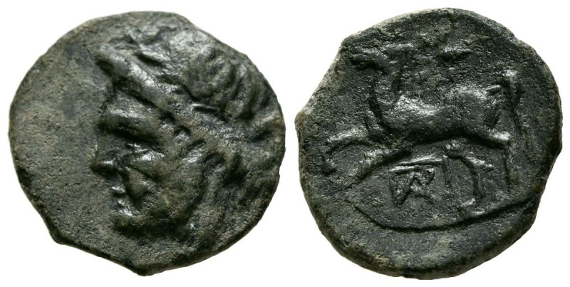 SCILIA, Panormos. Ae18. (Ae. 3,46g/18mm). 336-330 a.C. (HGC 2, 1058). Anv: Cabez...