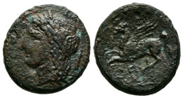 SICILIA, Siracusa. Ae18. (Ae. 4,65g/18mm). 344-317 a.C. (HGC 2, 1486). Anv: Cabeza laureada de Apolo a izquierda, detrás ánfora. Rev: Pegaso a izquier...