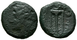 SICILIA, Tauromenion. Ae20. (Ae. 6,33g/20mm). 305-289 a.C. (SNG ANS 1126; HGC 2, 1587). Anv: Cabeza laureada de Apolo a izquierda, alrededor leyenda g...