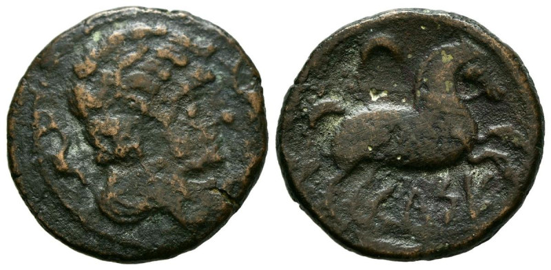 CELSE (Velilla del Ebro, Zaragoza). Semis. (Ae. 4,70g/21mm). 120-50 a.C. (FAB-78...