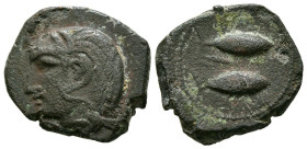 GADES (Cádiz). Calco. (Ae. 5,21g/19mm). 200-100 a.C. (FAB-1317). Anv: Cabeza de Melkart con piel de león a izquierda. Rev: Dos atunes a derecha, entre...