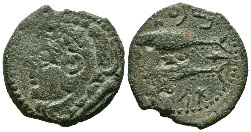 GADES (Cádiz). As. (Ae. 6.45g /24mm). 100-20 BC (FAB-1339). Anv: Cabeza de Hércu...