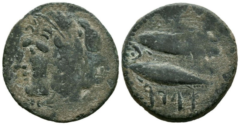 GADES (Cádiz). As. (Ae. 8,90g/26mm). 100-20 a.C. (FAB-1342). Anv: Cabeza de Hérc...