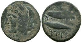 GADES (Cádiz). As. (Ae. 8,90g/26mm). 100-20 a.C. (FAB-1342). Anv: Cabeza de Hércules con piel de león izquierda con garrote. Rev: Dos atunes a izquier...
