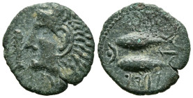 GADES (Cádiz). Semis. (Ae. 2,96 g/19mm). 100-20 aC (FAB-1347). Anv.: Cabeza de Hércules con piel de león izquierda, delante clava. Rev: Dos atunes a l...