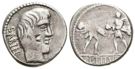 GENS TITURIA. Denario. (Ar. 3,84g/17mm). 89 a.C. Roma. (Crawford 344/1b; FFC 1154). Anv: Cabeza de Tatius a derecha, delante palma, detrás leyenda: SA...