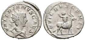 VALERIANO II. Antoniniano. (Ar. 3,65g/22mm). 256 d.C. Colonia Agrippensis. (RIC 3). Anv: Busto radiado y drapeado de Valeriano II a derecha, alrededor...