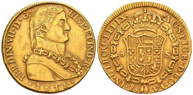 FERNANDO VII (1808-1833). 8 Escudos (Au. 27,02g/37mm). 1811. Santiago FJ. Busto almirante. (Cal-2019-1865). EBC. Preciosa pátina.