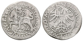 LITUANIA, Segismundo II (1545-1572). 1/2 Gros. (Ar. 1,11g/19mm). 1564. Vilna. (Kopicki 3271). MBC.
