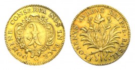 Schweiz / Switzerland /Suisse Basel Goldgulden o.J. (um 1790). DOMINE CONSERVA NOS IN PACE. Ovales Wappen in verzierter Kartusche // FLORENVS AVREVS R...