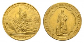 Schweiz / Switzerland /Suisse Schweiz Lunzern Goldmedaille 1903 Elektrizitätswerk 12.3g 26.2mm selten vorzüglich