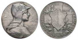 Schweiz / Switzerland /Suisse Schweiz, Eidgenossenschaft . AR Medaille 1901 (45 mm, 35.06 g), auf das Eidgenössisches Schützenfest in Luzern. Richter ...