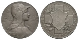 Schweiz / Switzerland /Suisse Schweiz, Eidgenossenschaft . AR Medaille 1901 (45 mm, 35.06 g), auf das Eidgenössisches Schützenfest in Luzern. Richter ...
