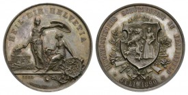 Schweiz / Switzerland /Suisse Schweiz, Thurgau. AR Medaille (45 mm, 38.75 g) auf das Eidgenössische Schützenfest 1890 in Frauenfeld. Richter 1250b. FD...