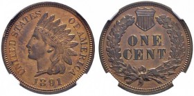 USA 1 Cent 1891, Philadelphia. Prachtvolle Erhaltung / Magnificent condition. NGC PF64 FDC Prooflike