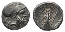 Metapontium - Stater circa 340-330 BC - Obverse: Head of Leukippos right, wearing Corinthian helmet; dog seated to  left behind - Reverse: Ear of barl...