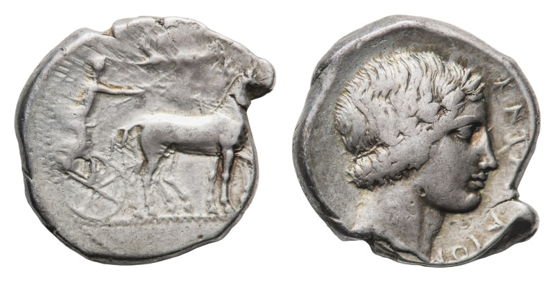 Katane - Tetradrachm 435-412 BC - Obverse: Charioteer, holding kentron and reins...