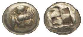 Cyzicus - EL Stater circa 550-500 BC NGC Ch VF Strike 5/5 Surface 4/5 - Obverse: Half-lenght bust of a winged female deity to left, holding a tunny fi...