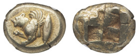 Cyzicus - EL Stater circa 550-450 BC NGC XF Strike 4/5 Surface 4/5 - Obverse: Forepart of winged lioness to left; tunny fish behind - Reverse: Quadrip...