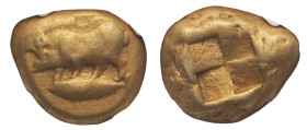 Cyzicus - EL Stater circa 550-450 BC NGC VF Strike 4/5 Surface 3/5- - Obverse: Female boar (sow) standing left; tunny fish to left below - Reverse: Qu...
