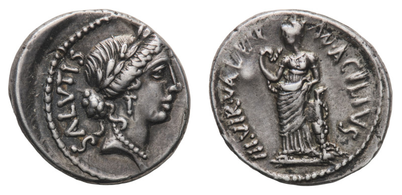 Mn. Acilius Glabrio - Denarius 49 BC - Mint: Rome - Obverse: Laureate head of Sa...