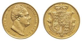 William IV (1830-1837) - Gold Sovereign 1832 - Mint: London - Obverse: Bare head right - Reverse: Crowned shield - gr. 7,98 - Rare in this condition. ...